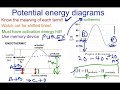 Catalysts and Potential Energy Diagrams