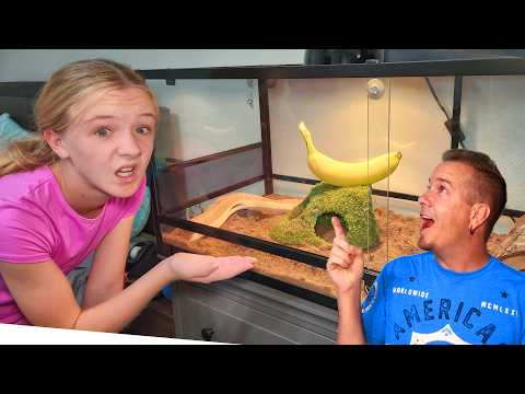Pranking My Daughter With a Pet Banana for Her Birthday!!!