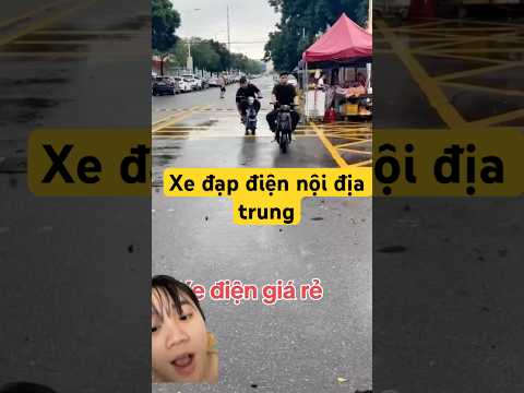 Xe đạp điện nội địa Trung Quốc chỉ 2 triệu