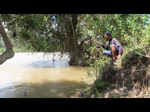 Mancing Di Spot Baru Rupanya Sarang Ikan dan Lihat Yang Terjadi
