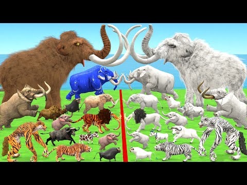 EPIC BATTLE Cenozoic Hybrid Beasts Vs Albino Itself Size Woolly Mammoth Vs Albino Elephant Lion Bull