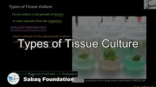 Types of Tissue Culture