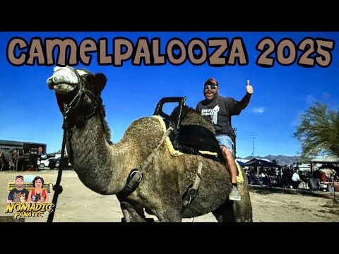 Camelpalooza 2025 in Quartzsite! Riding A Camel & RV/Bus Updates