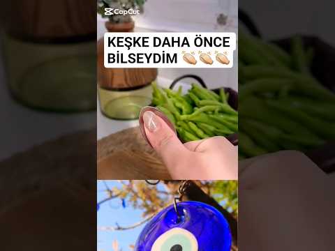ARTIK ELINIZ KESİLMEYECEK👍🏻#tiktok #catviralvideo #kesfeteyyiz #shortsfeed #viralshorts #viralshort