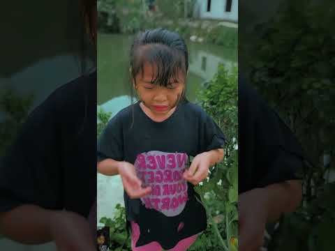 আমার ক্যান্ডি গাছটা অনেক বড় হয়ে যাচ্ছে