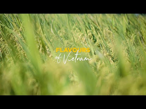 Flavours of Vietnam