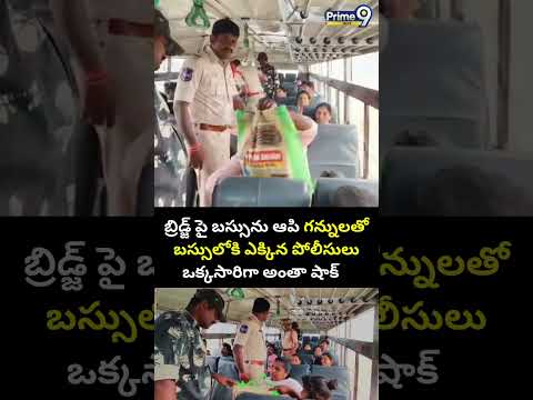 బ్రిడ్జ్ పై బస్సు ను ఆపి గన్నులతో బస్సులోకి ఎక్కిన పోలీసులు 😯..ఒక్కసారిగా అంతా షాక్ | Viral Video