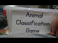 Animal Classification Game Insights