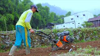 A Farmer's Daily Work: Hand Cultivator Tilling Potato Land!