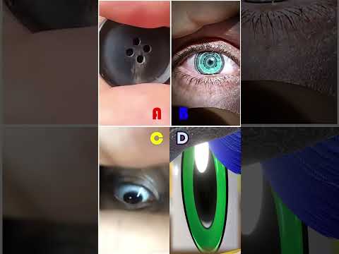 Who is the best?  😂🥺 #15  #sonic #funnyshorts