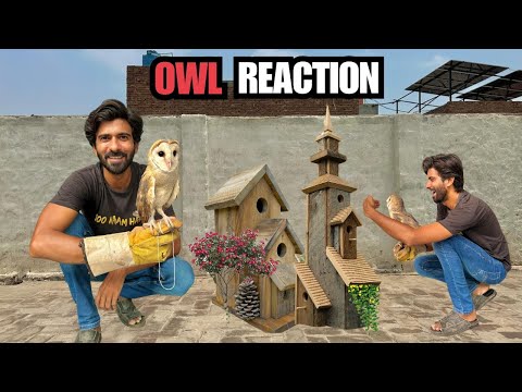 Manto Ko Surprise De Diya 😍