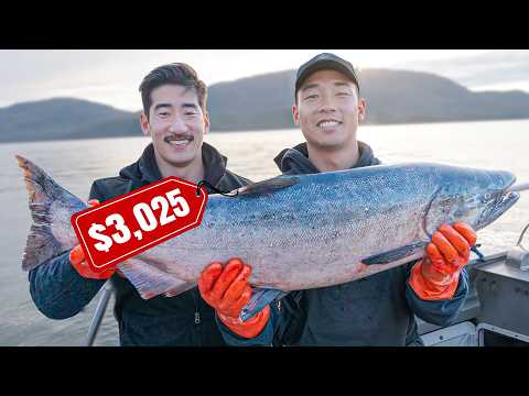 Catching and Eating the Most Expensive Salmon in the World! — Was It Worth It?