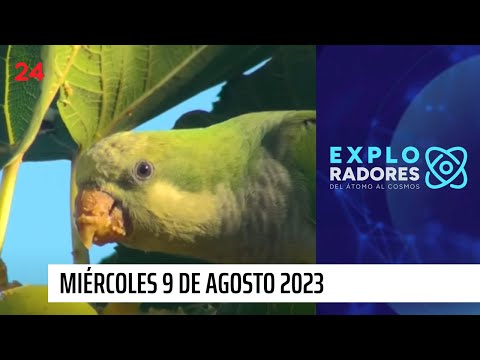 Exploradores, del átomo al cosmos - miércoles 9 de agosto 2023