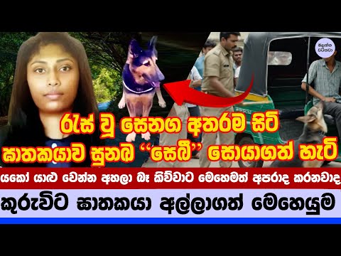 🚨 රැස්වූ සෙනග සමග බලා සිටි පොරව සුනඛ 'සෙබී' නිසා කොටුවෙයි - Police Dog Sebi Cracks Kuruwita Case