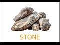 Nội Dung Video và Ngôn Ngữ