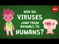 Understanding Viral Host Jumps and Epidemics