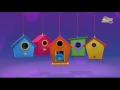 Understanding Circular Shapes and Objects