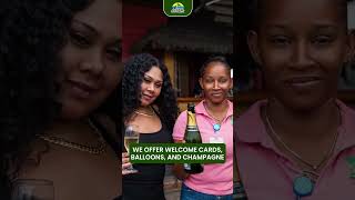 Www.islanddreamtour.com