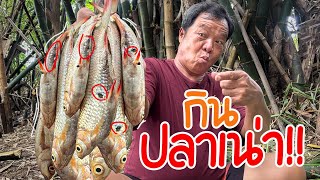 เมนูพื้นบ้านแปลก! ปลาเน่า!! พ่อบอกยิ่งเน่า "ยิ่งหอม ยิ่งอร่อย"