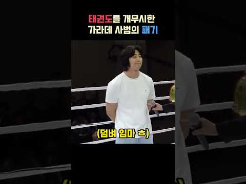 태권도를 개무시한 가라데 사범의 패기