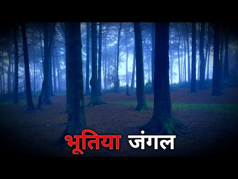 भूतिया जंगल | Real Horror Story | Horror Stories In Hindi