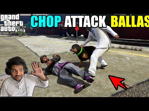 GTA 5 : CHOP ATTACK BALLAS GANG