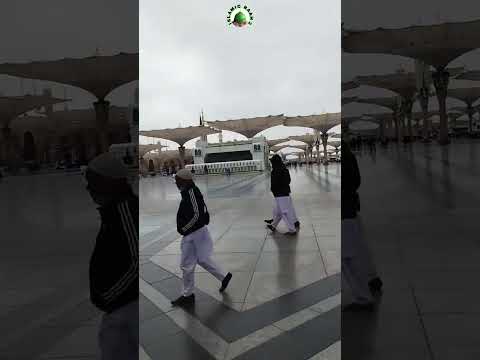 Masjid e Nabwi Sharif! Cleaning