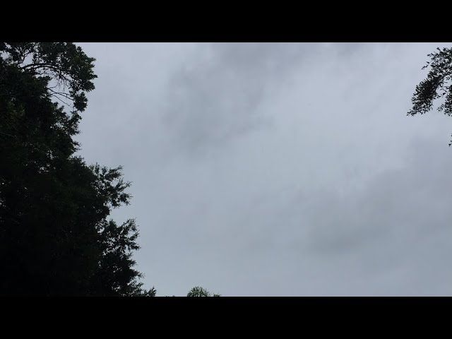 Hurricane Irma Live from Orlando