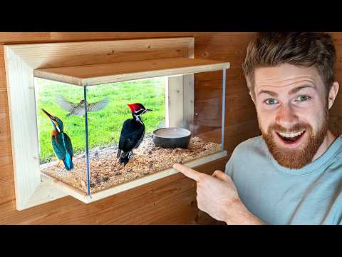 Indoor Vogel-Aquarium bauen!