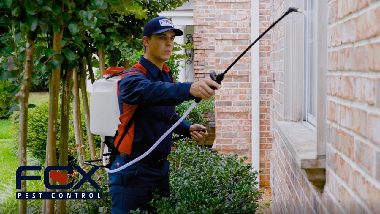 Why you should choose Fox Pest Control in Covington