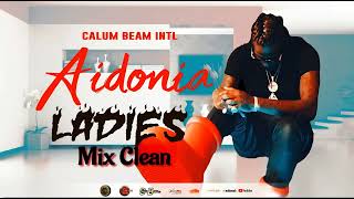 Aidonia Mix 2025 Clean | Aidonia Mixtape Clean | 100% Aidonia Gyal Session | Calum beam intl