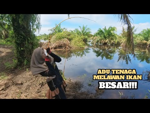 TEMPAT INI BENAR BENAR SARANG IKAN IKAN MONSTERRR!!!!