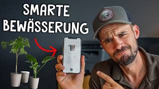 Smarte Bewässerung für deine Topfpflanzen - Das Boum System im Test