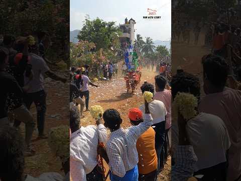 Ramireddy Palli Jallikattu 🐂 Maas Entry 🔥 Jagan Anna Bull#chittoorjallikattu#chittoor#runwithvinay