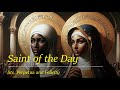 Saints Perpetua and Felicity Overview