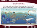 Ecological Concepts and Ocean Ecosystems