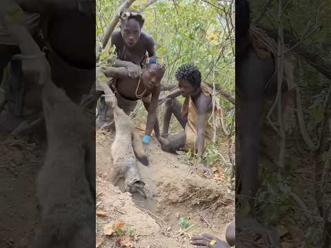 “Tribals became vegetarian, and happiness spread in the jungle.” #shortsvideo #shortvideo #shorts
