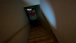 What IS down in Nick's basement?