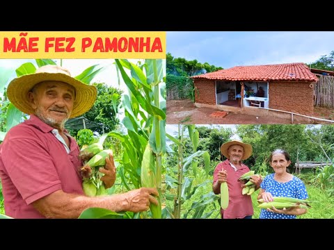 🏡 Minha Mãe Fez Pamonha e Canjica de milho 🌽 Verde no Sítio Vejam só Felicidade