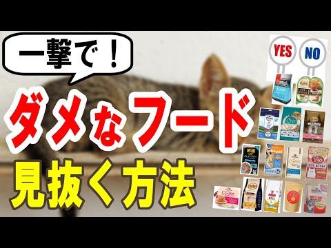 【一撃で】ダメなキャットフードを見抜く方法｜獣医師オススメの猫の食事の選び方を紹介します