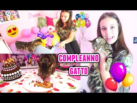 FESTA A SORPRESA PER LA MIA GATTA!