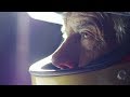 AGV X3000 Helmet - Barry Sheene Video