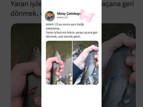 Abone olurmusun?🤗#keşfetedüş #öneçıkar #tutsun #kesfeteyyiz #instagood #love #art