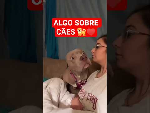 POR QUE AMO CACHORROS #shorts #cão