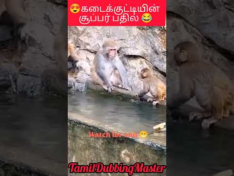 சின்னஞ்சிறு கூட்டில் தானே அன்பு இருக்கும் 😂😘😍#comedydub #shortfeeds #comedy #motherlove