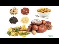Nutrition and Healthy Eating Choices