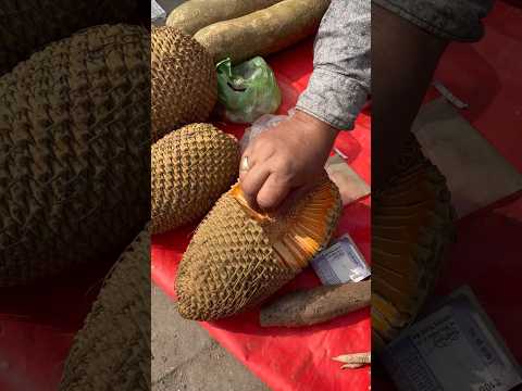দেখেই কাঁঠাল ভেবেছিলাম😄 অনন্তমূলের ফল❤️ #shorts #short #shortvideo #ytshorts