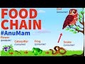 Food Chains and Trophic Levels