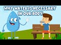 Understanding the Importance of Water in the Body