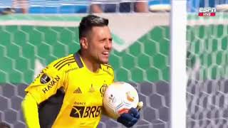 Ha 4 anos palmeiras campeão da libertadores 2021🏆🇳🇬